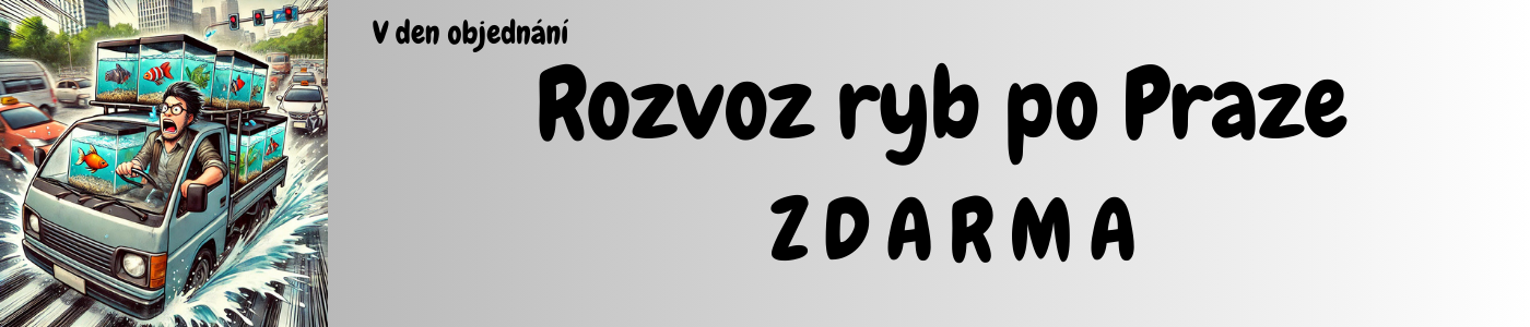 Rozvoz po Praze zdarma.