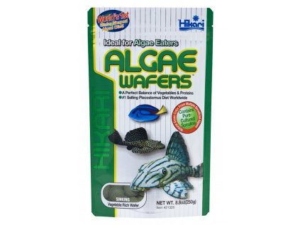 Hikari algae