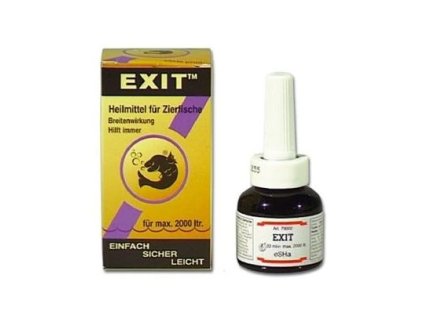 exit