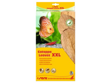 400194245245845245INTseracatappaleavesxxl10sttif