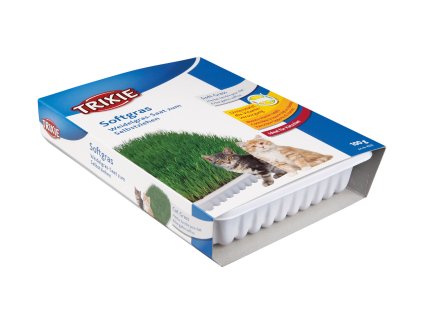 Jemná tráva pro kočku v misce 100 g