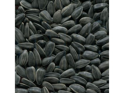 slune