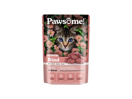 Pawsome! Junior s hovězím masem 85 g