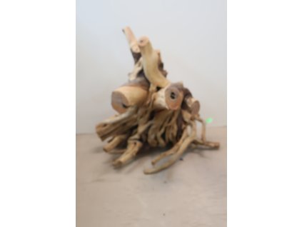 Kořen Čajovník Čínský