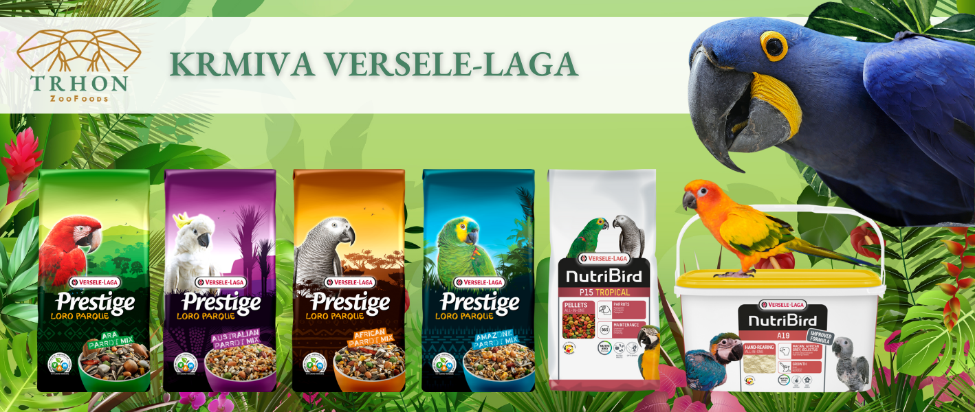 Versele-Laga