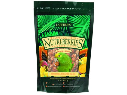 tropical parrot image