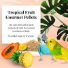 lafeber tropical fruit gourmet pellets cockatiel 567 gram (4)
