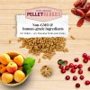 71750 pellet berries parrot 4
