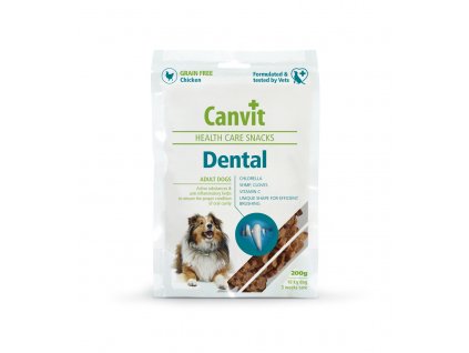 dental01