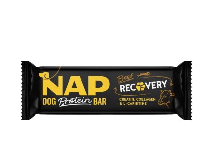 91 nap obal vizualizace nobg 1 5