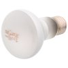 repti planet zarovka daylight frosted 75w original (1)