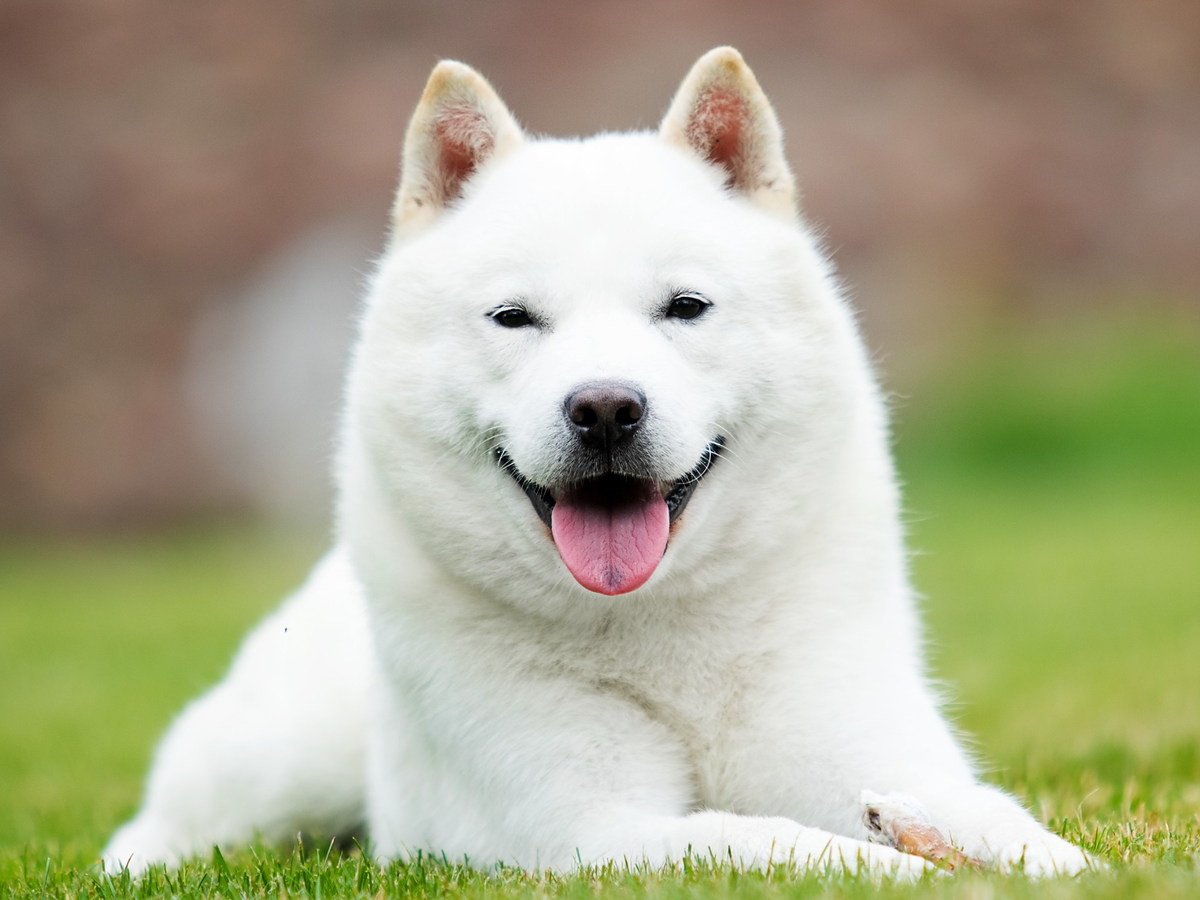 HOKKAIDO