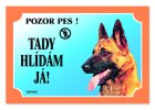 Výstražné tabulky a nálepky pes