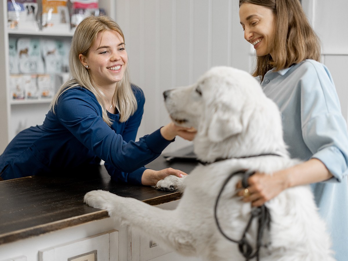 Veterinářka vyšetřující psa v přítomnosti majitelky