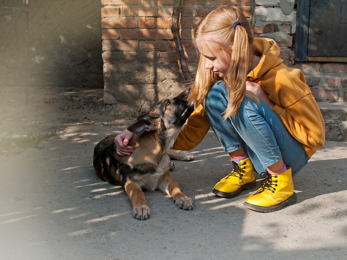 Dívka při klidném kontaktu se psem