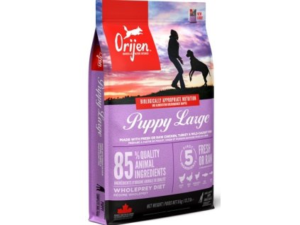 ORIJEN Dog Puppy Large 6kg