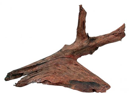 Zolux Akvarijní/terarijní kořen Mangrove M 25/40cm