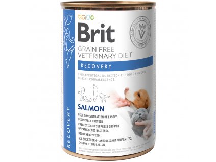 Brit VD Dog+Cat GF konz. Recovery 400g