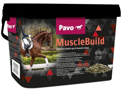 PAVO Muscle Build 3kg