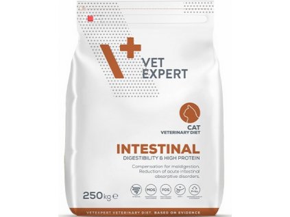 VetExpert VD 4T Intestinal Cat 250g