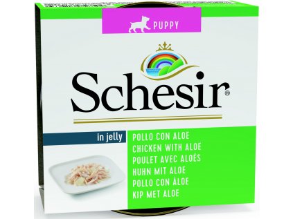 Schesir Dog konz. Puppy kuře/aloe 150g