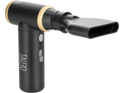 TAURO Pro Line mini Dryer Black