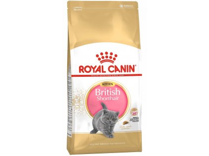 fbn2016 packshot british shorthair kitten