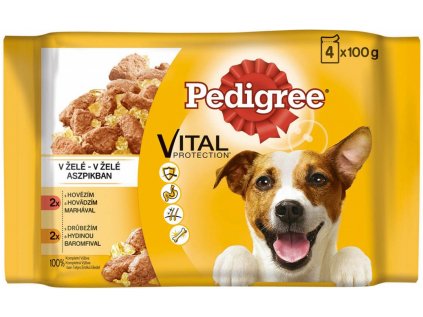 PEDIGREE kapsa Adult hovězí & drůbeží v želé 4x100g