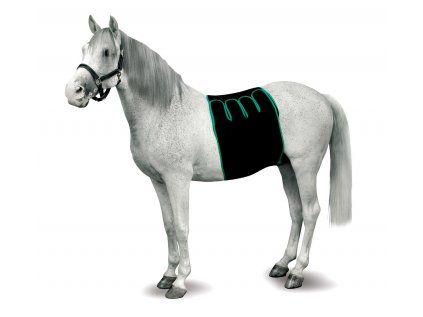 KRUUSE Equine Recovery Bandaging S
