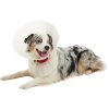 Ochranný golier BUSTER nepriehľadný Classic Collar 20cm