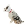 Ochranný golier BUSTER nepriehľadný Classic Collar 35cm