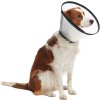 Ochranný golier BUSTER plastový Quick Collar 25cm
