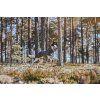 Hurtta Mudventure Coat ECO Blackberry 45