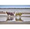 Hurtta Mudventure Reflective Coat Turmeric 25