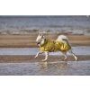 Hurtta Mudventure Reflective Coat Turmeric 60