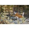 Hurtta Warming Midlayer ECO Desert 60