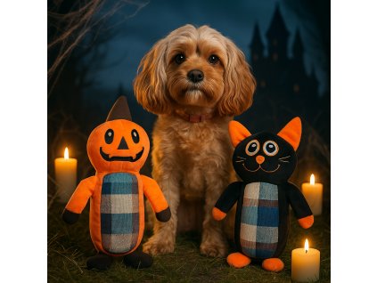 ChatGPT Image 19. 11. 2025, 15 39 30