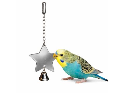 ChatGPT Image 26. 1. 2026, 09 41 55