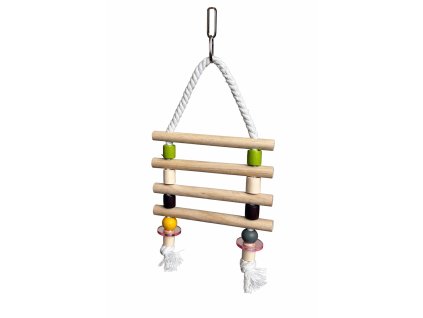 ChatGPT Image 26. 1. 2026, 10 22 04