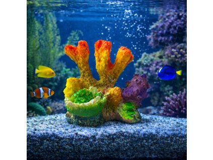 ChatGPT Image 29. 1. 2026, 12 33 56