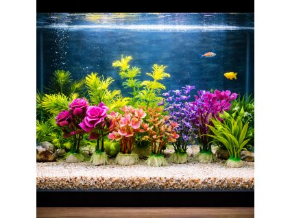 ChatGPT Image 29. 1. 2026, 14 20 59