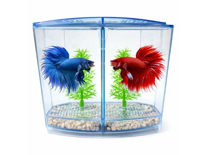 ChatGPT Image 5. 2. 2026, 13 44 55