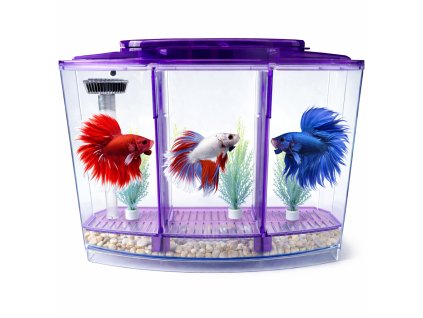 ChatGPT Image 5. 2. 2026, 14 16 53