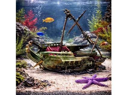 ChatGPT Image 19. 2. 2026, 10 03 14