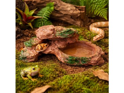 ChatGPT Image 19. 2. 2026, 15 15 37