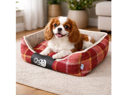 ChatGPT Image 25. 2. 2026, 14 41 21