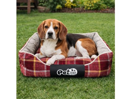 ChatGPT Image 25. 2. 2026, 15 03 33