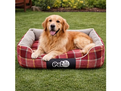 ChatGPT Image 26. 2. 2026, 08 50 53