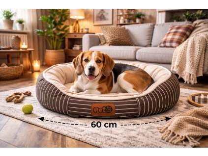 ChatGPT Image 26. 2. 2026, 09 29 14