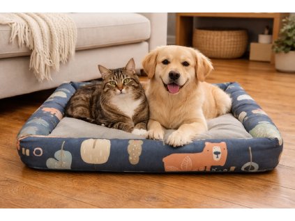 ChatGPT Image 26. 2. 2026, 12 28 17